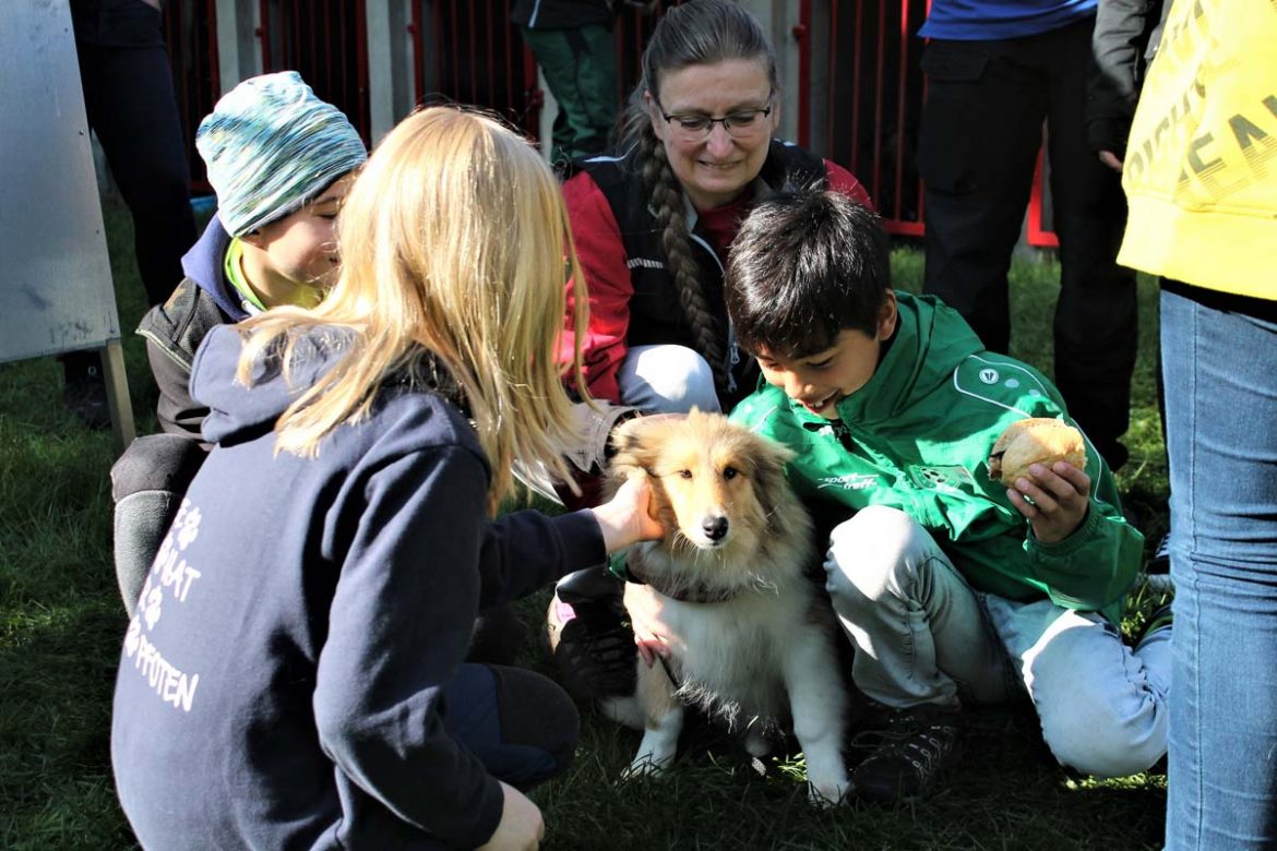 kinderseminar-hundesportverein-geraberg-gemeinde-geratal_02