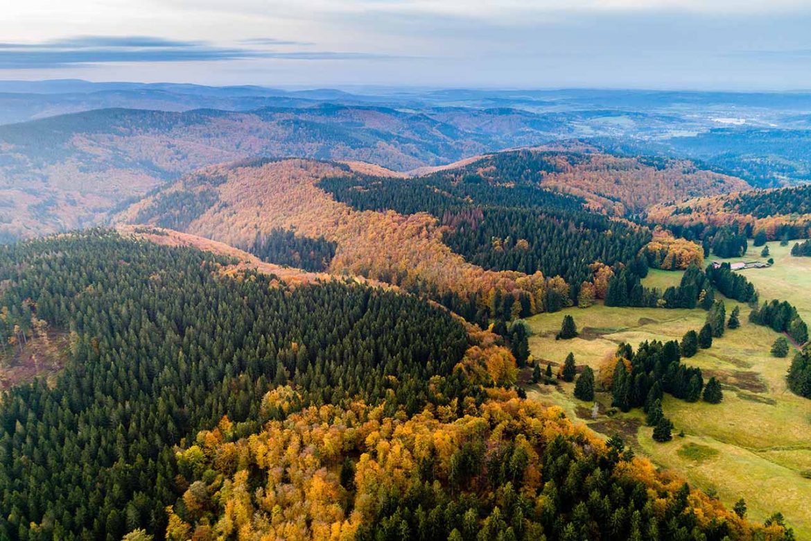 Genießen Sie Herbstmomente in den Genuss-Wochen im UNESCO-Biosphärenreservat Thüringer Wald. Foto. C. Schmid