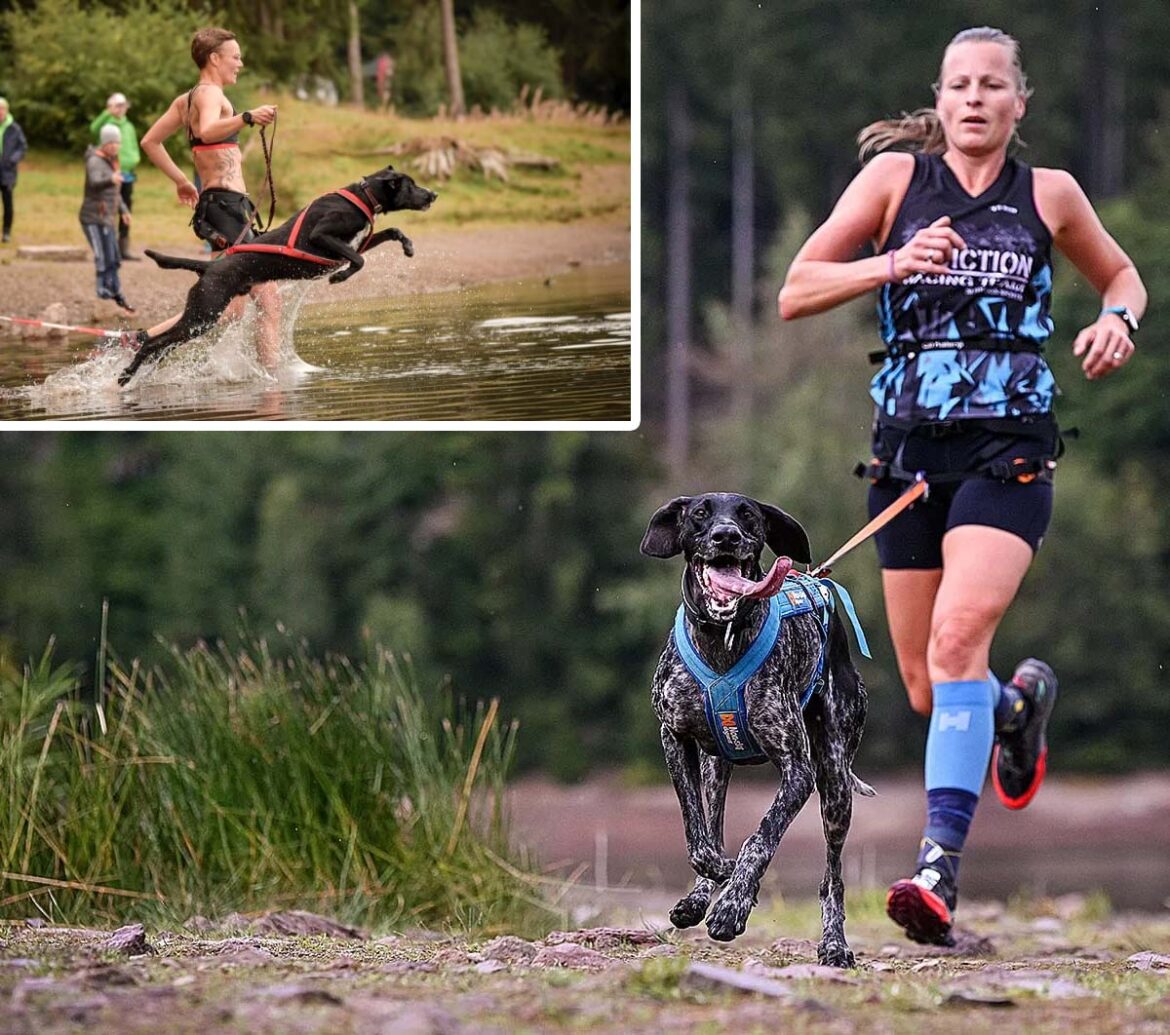 hundesport-wettkampf-luetsche-talsperre_09-2023