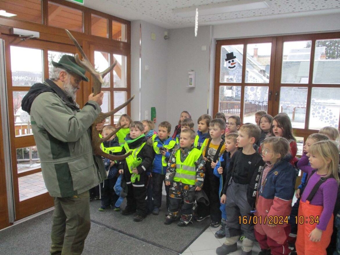 erlebnis-wald-im-kindergarten-regenbogen-geraberg_00