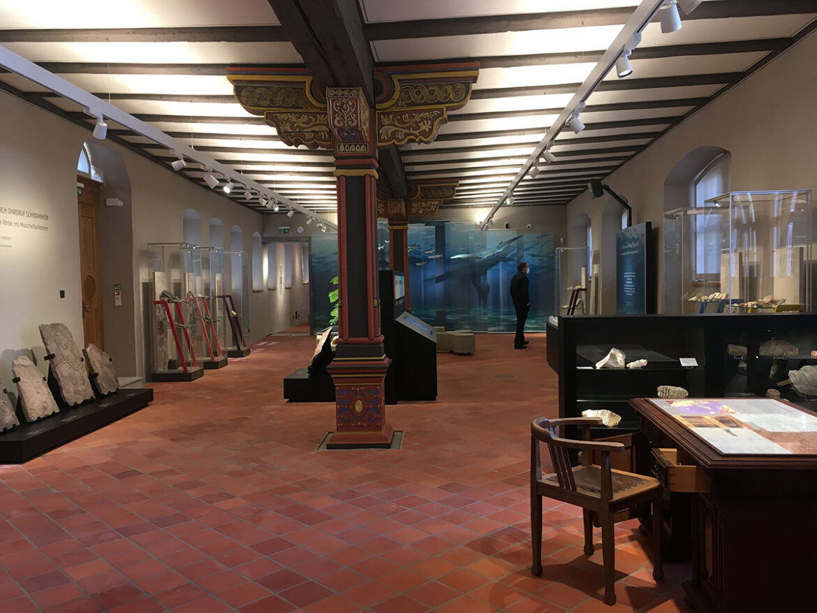 fossil-des-jahres-2024_einladung_01