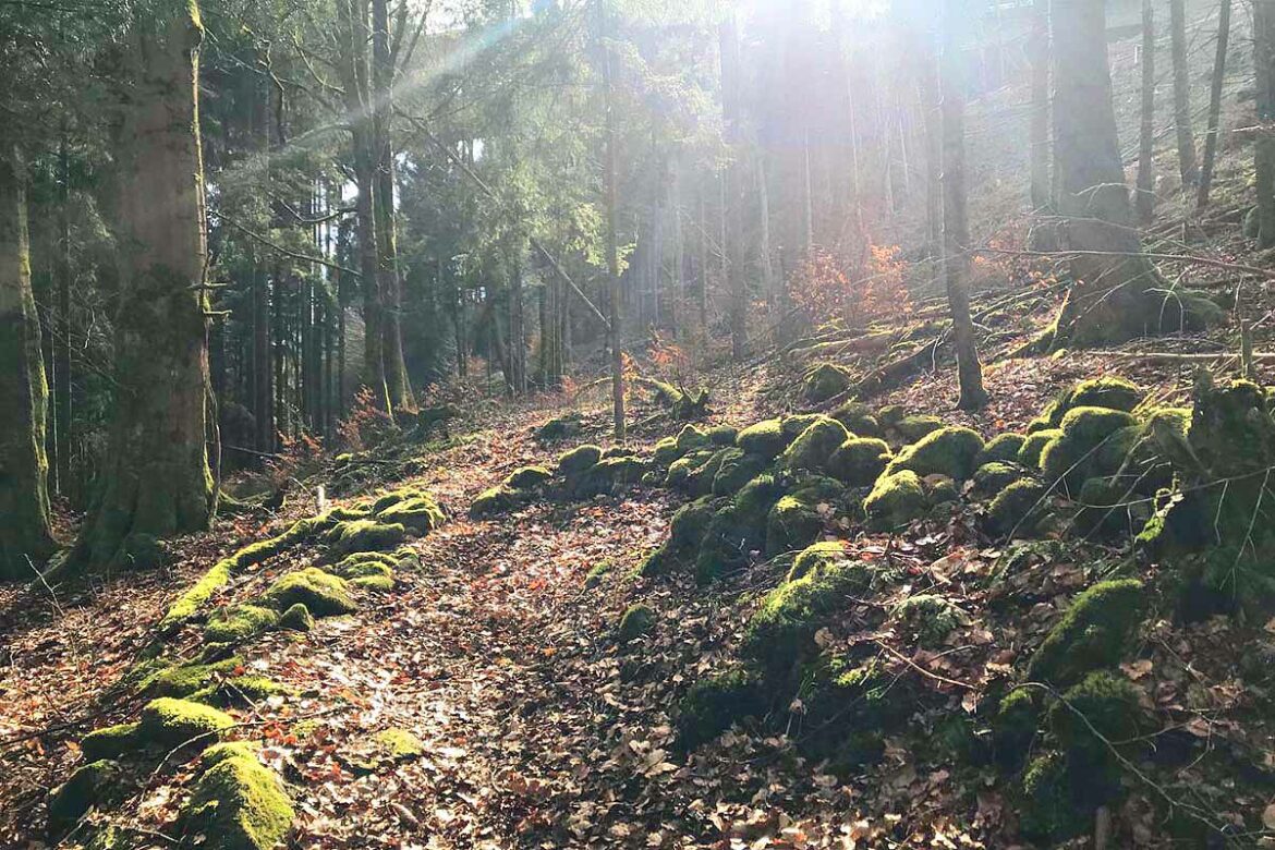 fortschritte-am-geplanten-rundweg-raeuberstieg_gemeinde-geratal_00