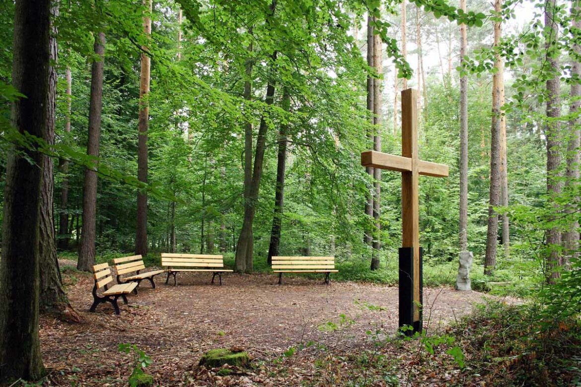 ruheforst-frankenhain_gemeinde-geratal_thueringer-wald_08