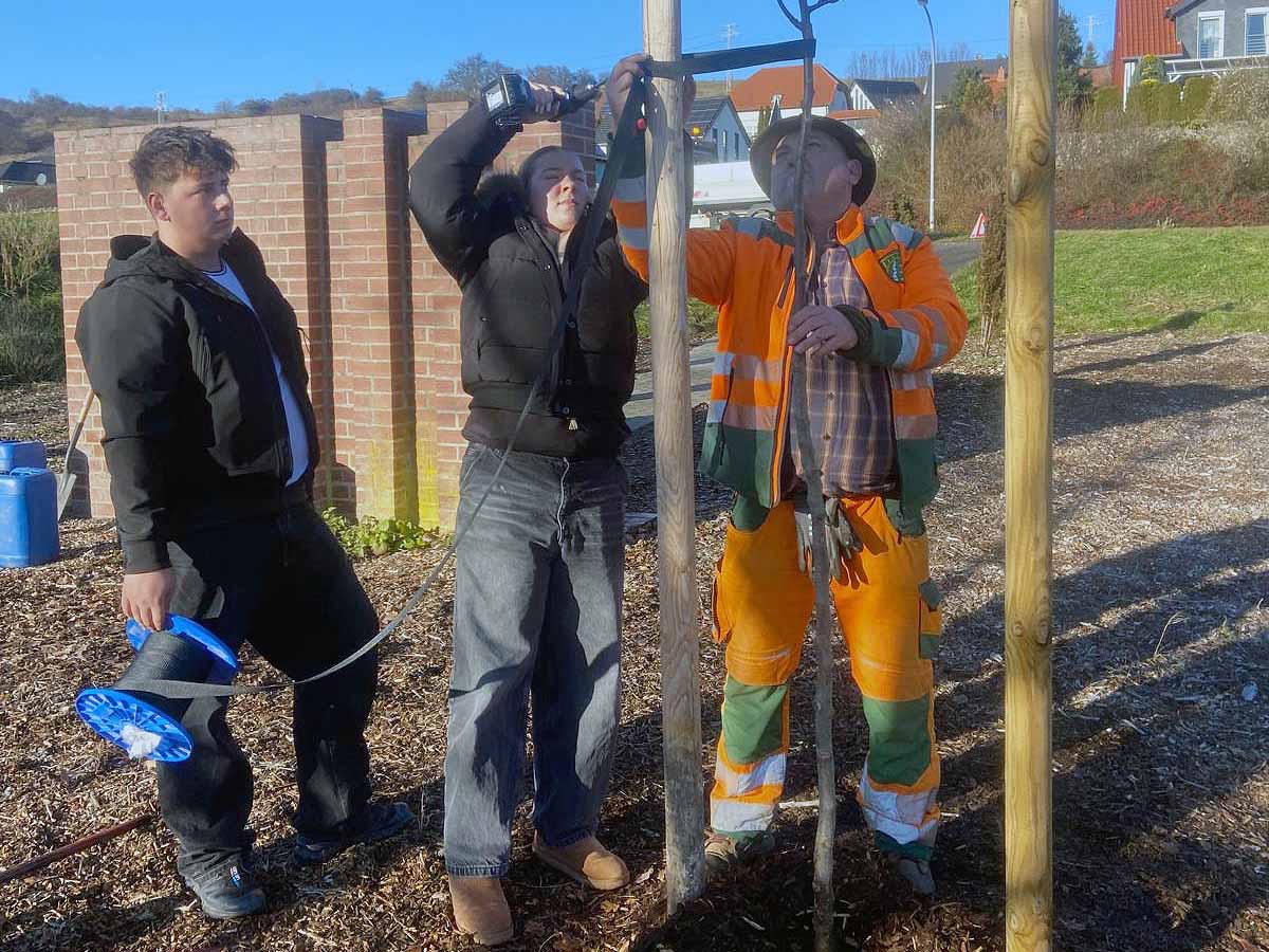 baumpflanzaktion-tgs-graefenroda_17-12-2025_03