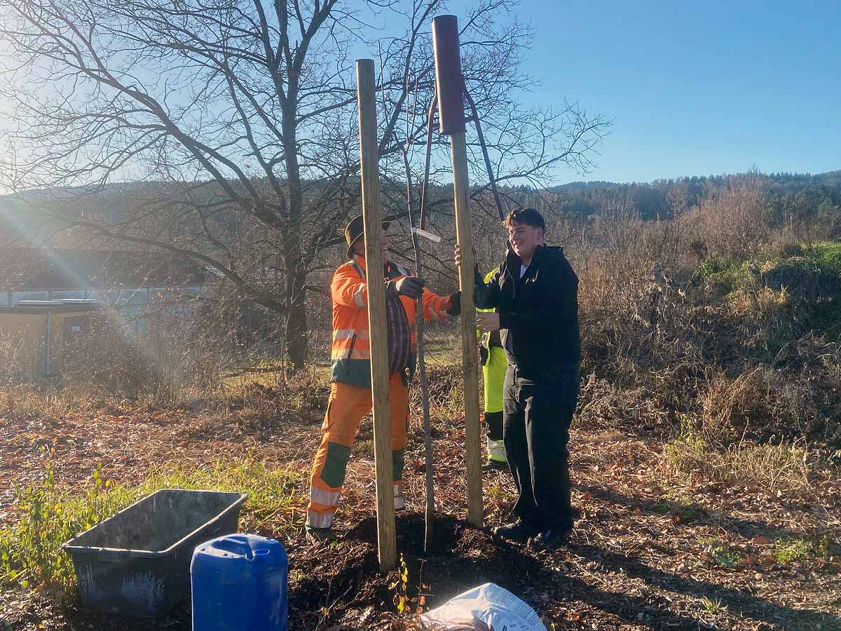 baumpflanzaktion-tgs-graefenroda_17-12-2025_04