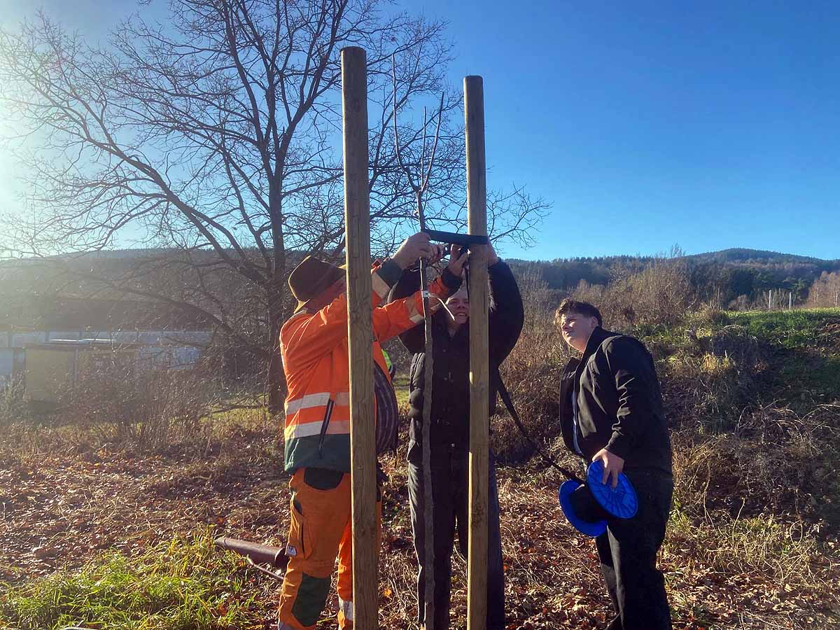 baumpflanzaktion-tgs-graefenroda_17-12-2025_05