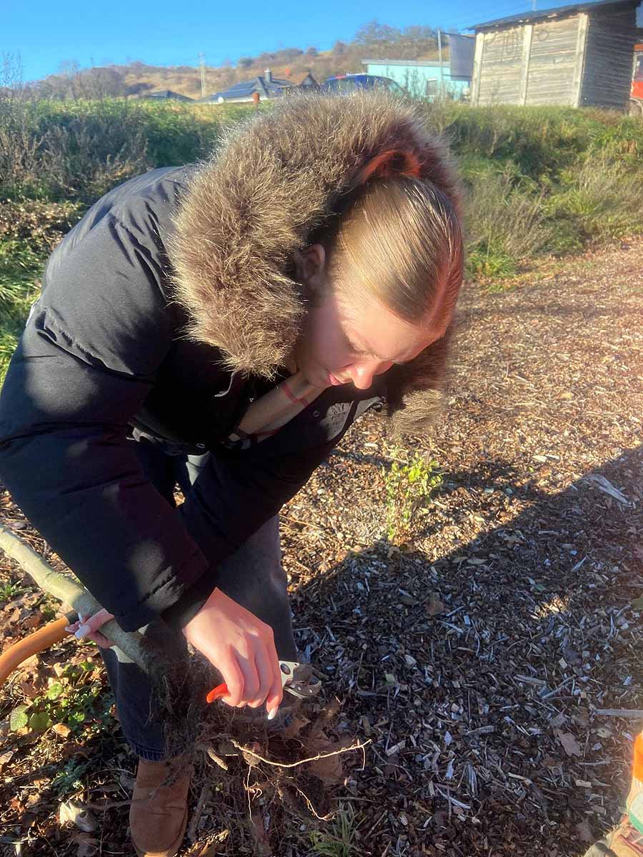 baumpflanzaktion-tgs-graefenroda_17-12-2025_06