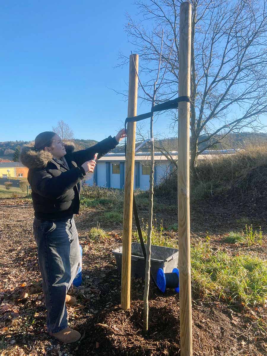 baumpflanzaktion-tgs-graefenroda_17-12-2025_08