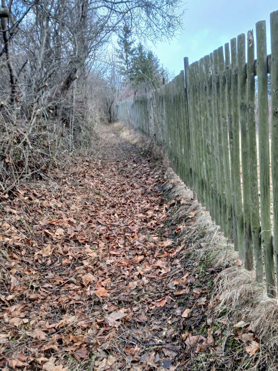 geraberger-heimatfreunde-arbeitseinsatz-neussiser-weg_03