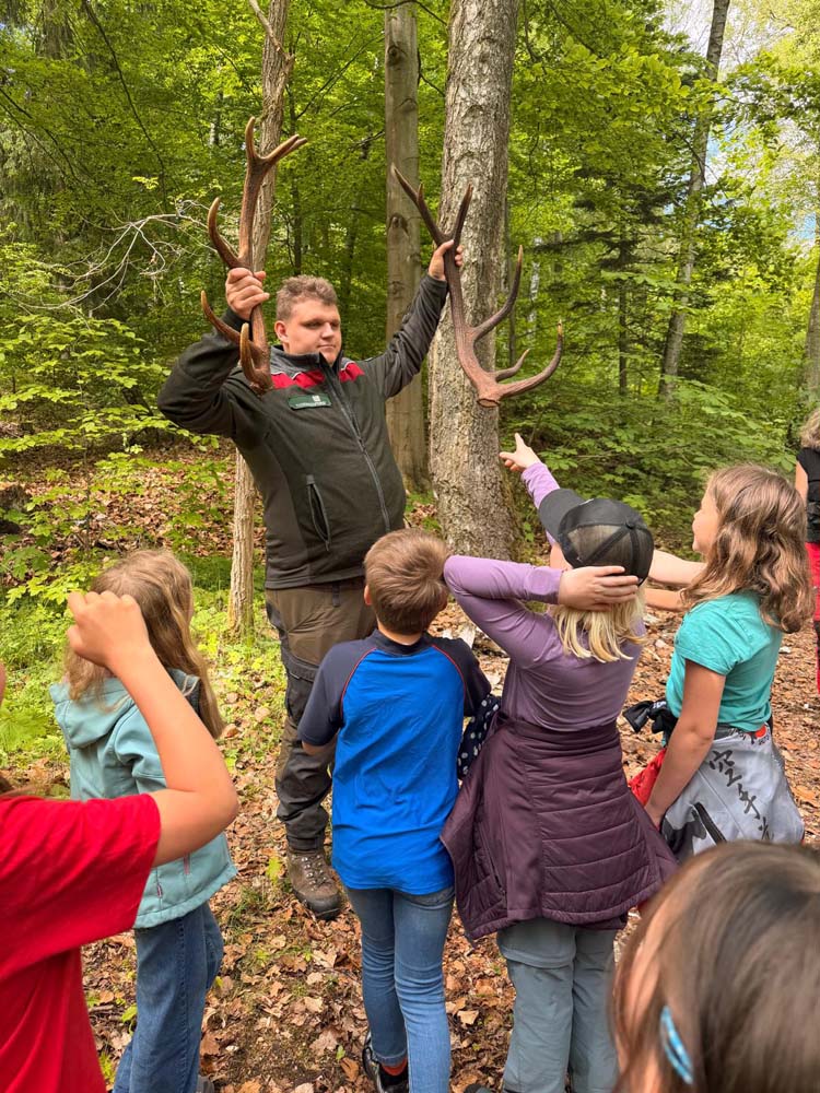 entspannter-tag-im-wald-grundschule-an-der-burglehne-graefenroda-01