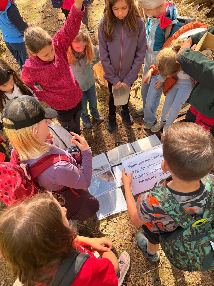 entspannter-tag-im-wald-grundschule-an-der-burglehne-graefenroda-03