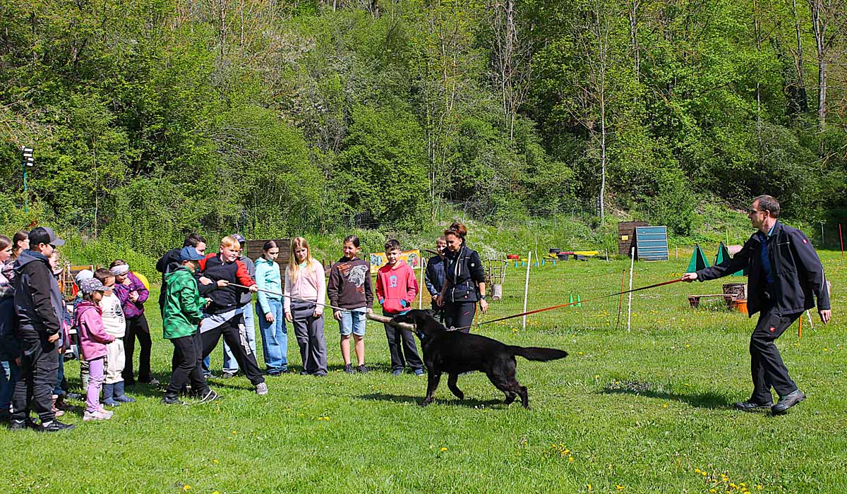 hundesportverein-geraberg-kinderseminar-2026_01