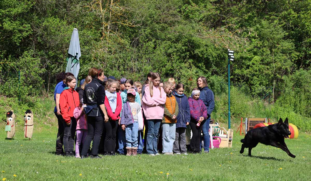 hundesportverein-geraberg-kinderseminar-2026_02