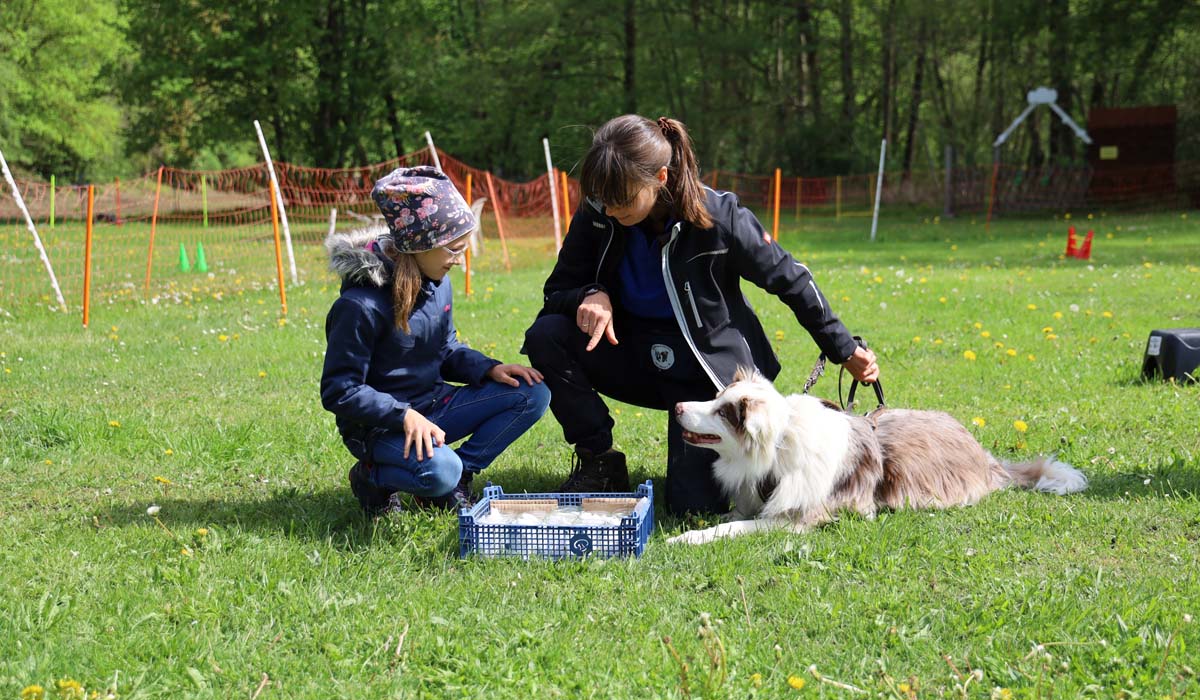 hundesportverein-geraberg-kinderseminar-2026_03