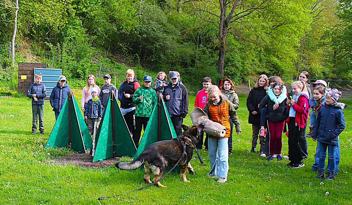 hundesportverein-geraberg-kinderseminar-2026_05