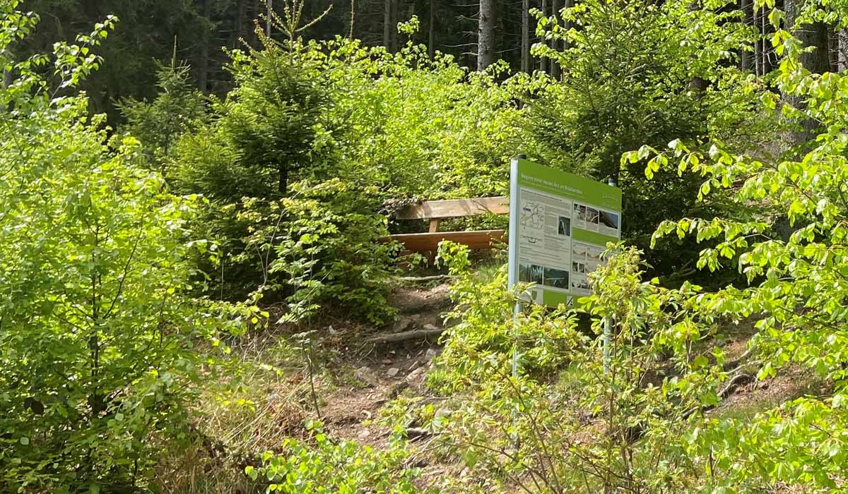 mdr-filmdreh-thueringer-wald-luetsche-floessgraben-gemeinde-geratal_01